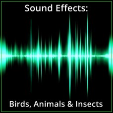 Sound Effects: Birds, Animals & Insects
