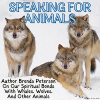 Speaking for Animals: Author Brenda Peterson on Our Spiritual Bonds with Whales, Wolves, and Other Animals